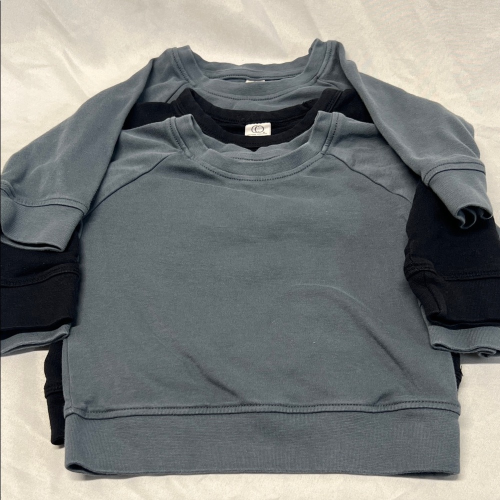 3 Colored Organics 12-18 Months Crewneck Sweatshirts in Gray and Black